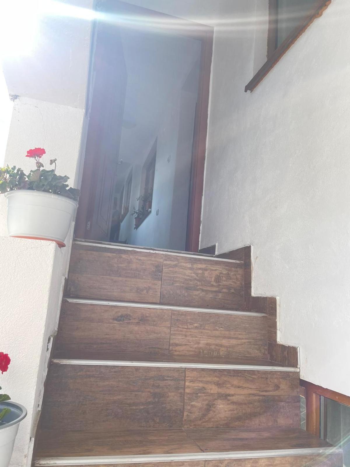Casa Noastra Apartment Calimanesti Ngoại thất bức ảnh